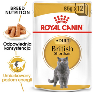 Royal Canin British Shorthair karma mokra w sosie dla kotów dorosłych rasy brytyjski krótkowłosy saszetka 85g